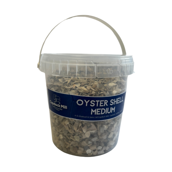 Oyster Shell Medium 1kg Tub - DobbyMan